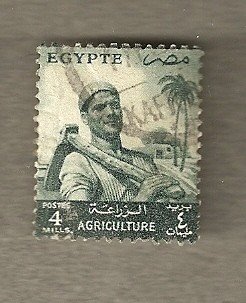 Agricultor