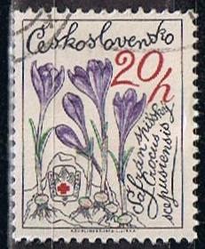 Scott  2228  Crocus (1)