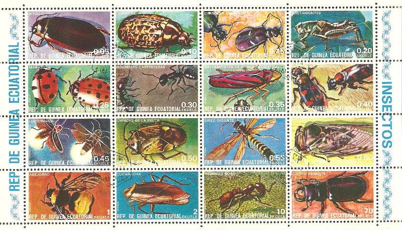 insectos: saltamontes, mariquita, hormigas, cigarra, abejorro, luciérnaga etc.
