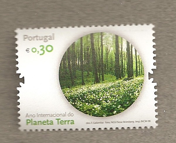 Año internacional Planeta Tierra