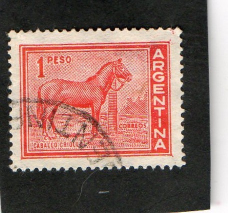 ARGENTINA- CABALLO CRIOLLO.