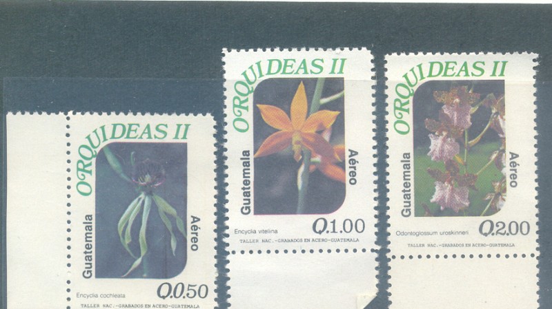 Orquideas 