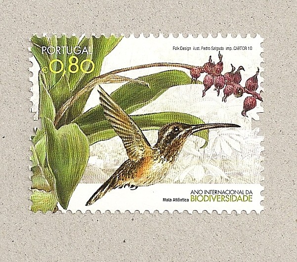 Año de la biodiversidad