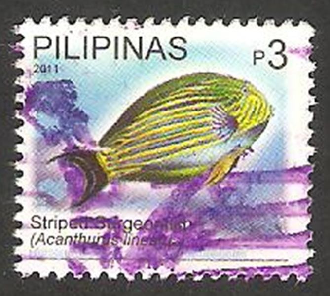 pez acanthurus lineatus