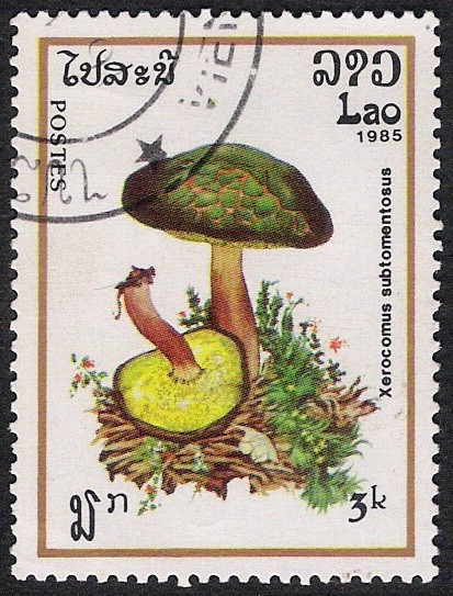 SETAS-HONGOS: 1.174.005,01-Xerocomus subtomentosus -Phil.47563-Dm.985.33-Y&T.637-Mch.832-Sc.631