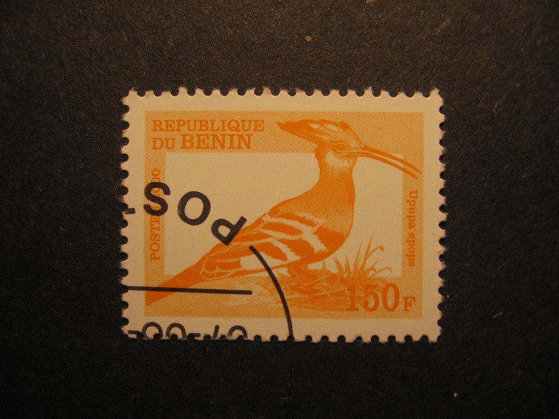 abubilla