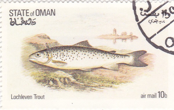peces