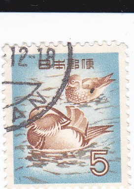 aves