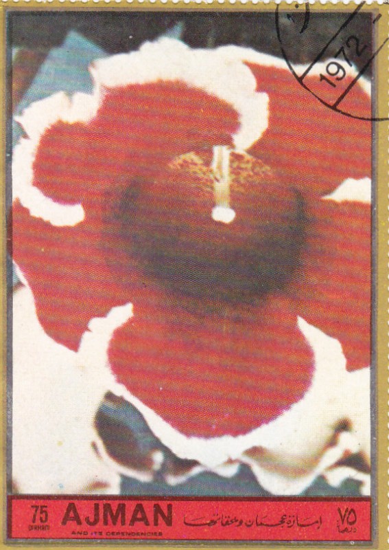 flores