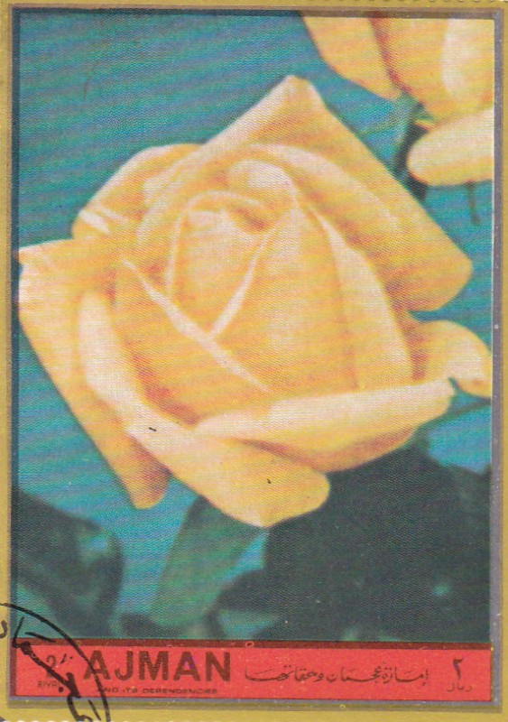flores
