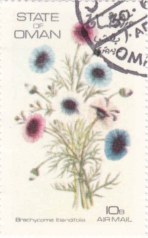 flores