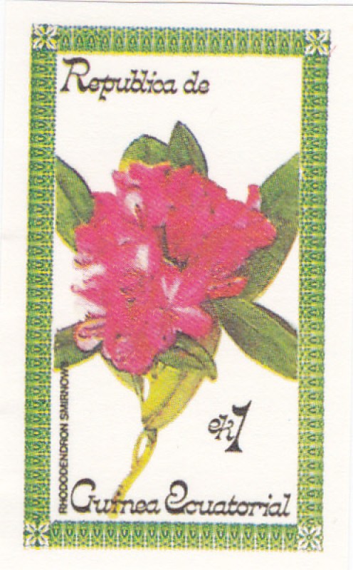 flores