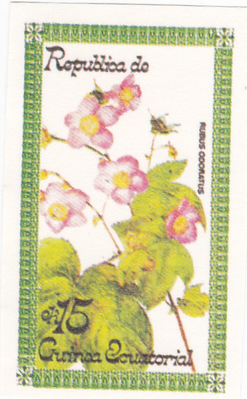 flores