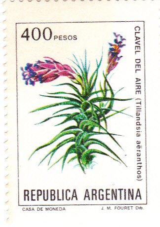 flores