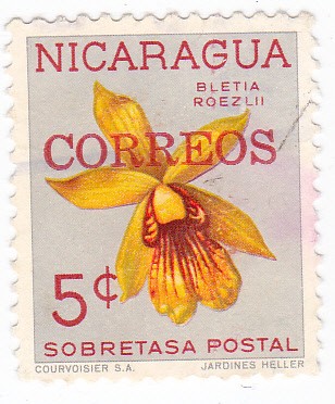 flores
