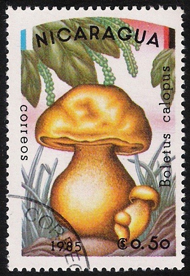 SETAS-HONGOS: 1.201.001,01-Boletus calopus -Dm.985.10-Y&T.1361-Mch.2561-Sc.1403
