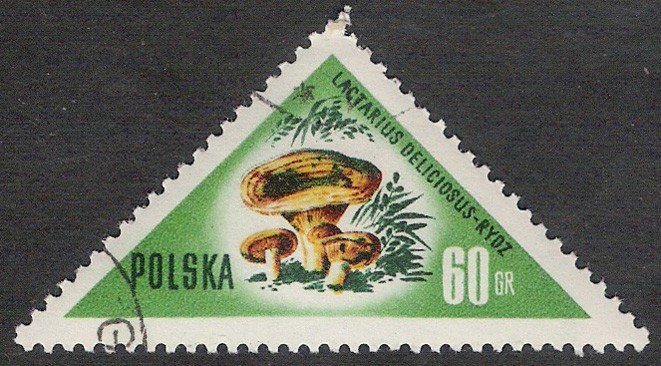 SETAS-HONGOS: 1.211.004,01-Lactarius deliciosus -Dm.959.11-Y&T.962-Mch.1096-Sc.845