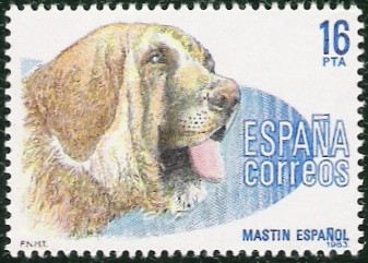 Perros de raza epañola