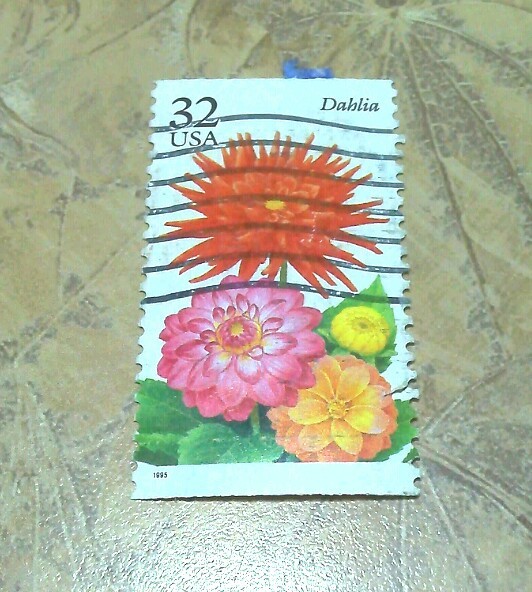Flores