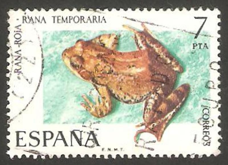 2276 - una rana roja
