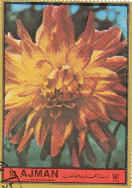 flores