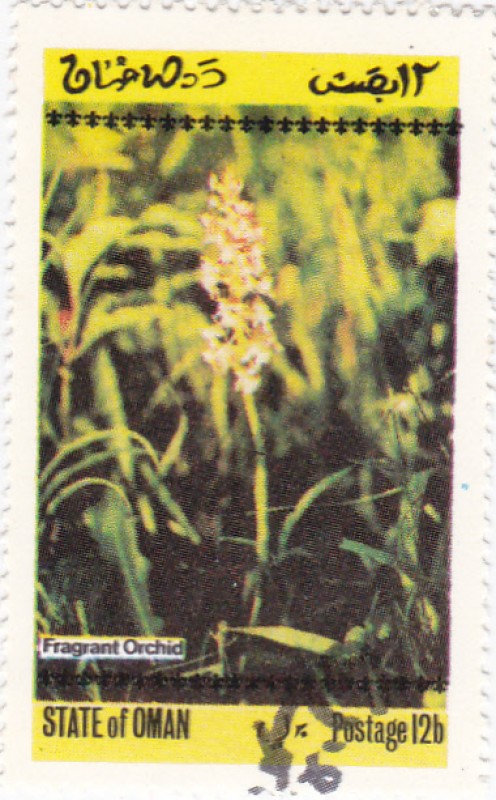 flores