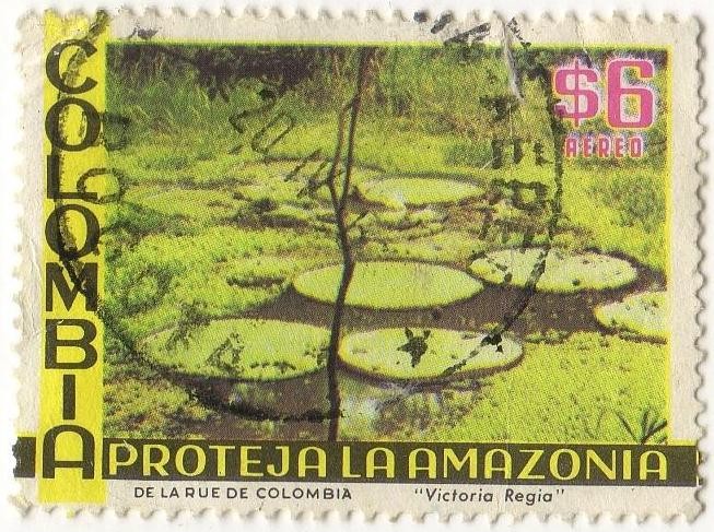 PROTEJA LA AMAZONIA  