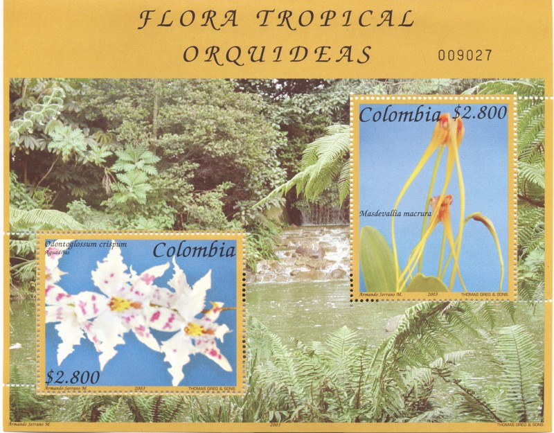 Flora tropical, Orquideas