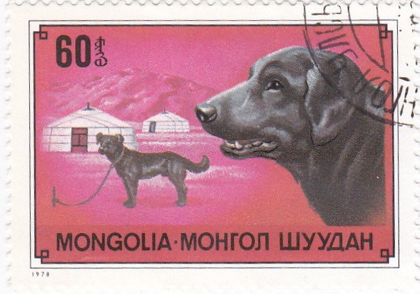 Perros
