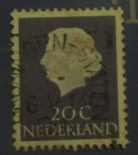Queen juliana type profile