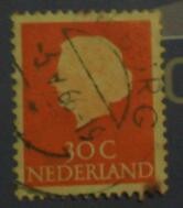 Queen juliana type profile