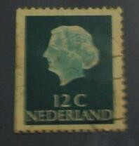 Queen juliana type profile