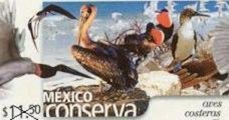 Sello postal aves costeras