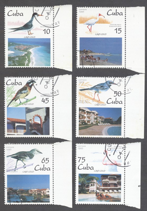 Fauna 1997-