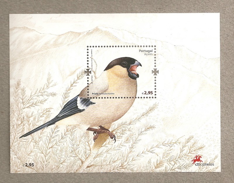 Pájaro Priolo de las Açores