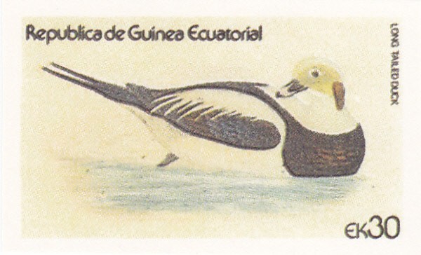 patos