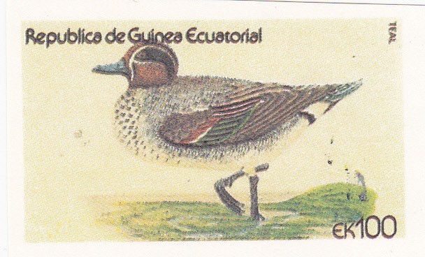 patos