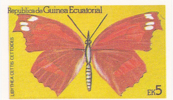 mariposa