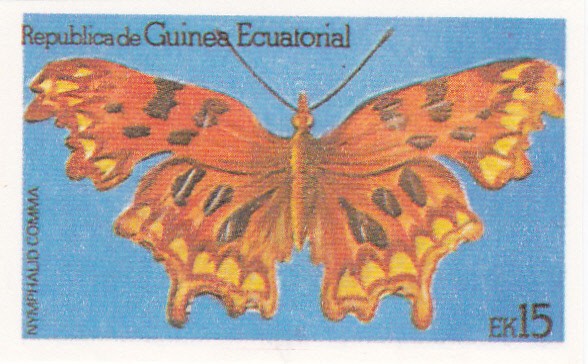 mariposa