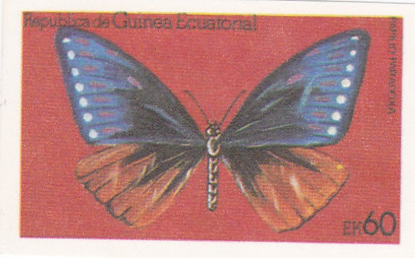 mariposa