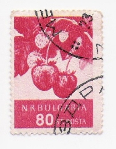 fresas