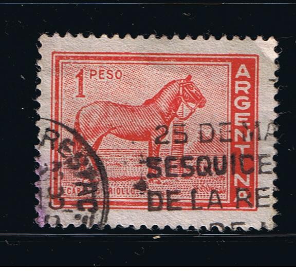 Caballo Criollo.