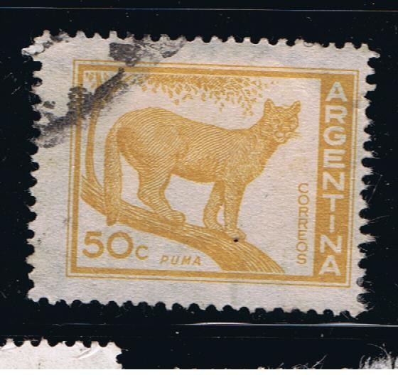 Puma.