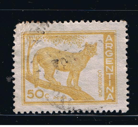 Puma.