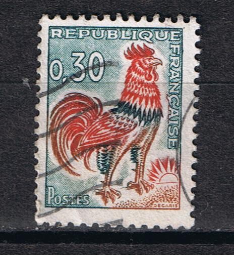 Gallo