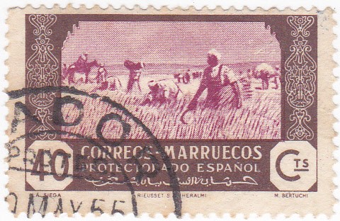 protectorado español-la siega