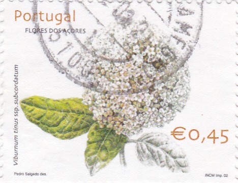 flores de las azores