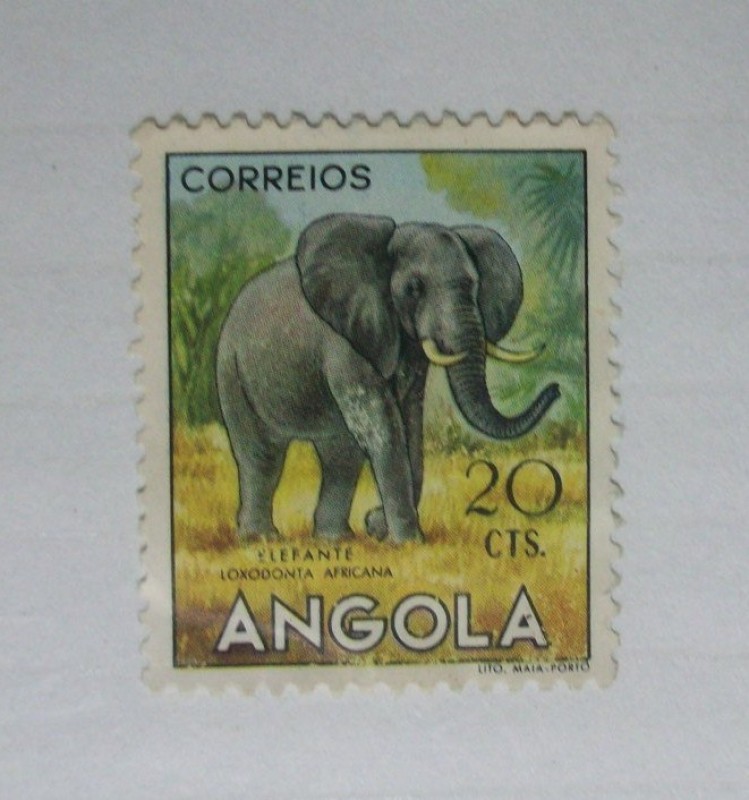 Animales. Elefante.