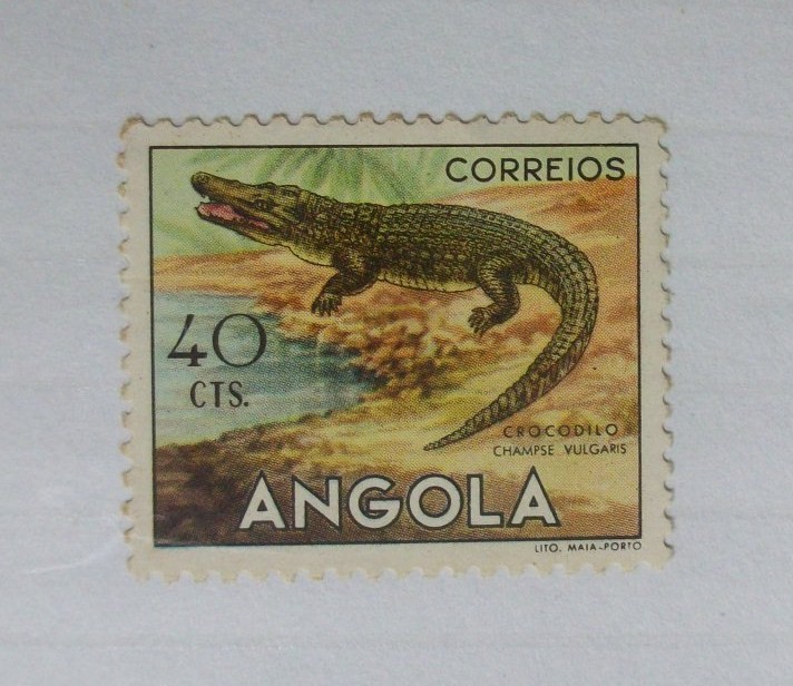 Animales. Cocodrilo.