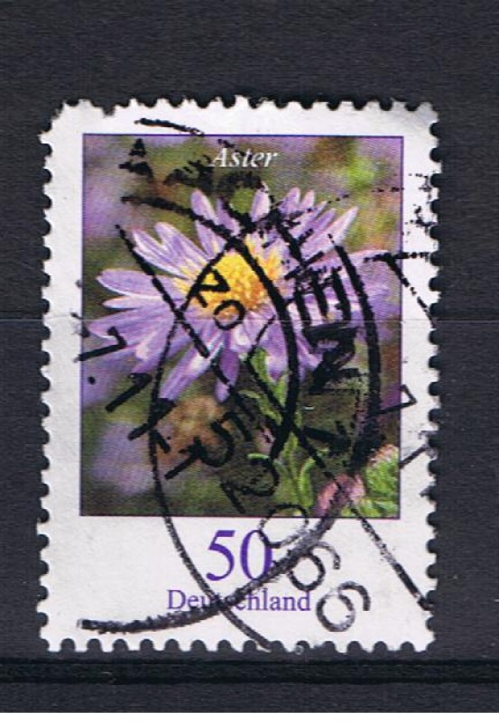 Flora   